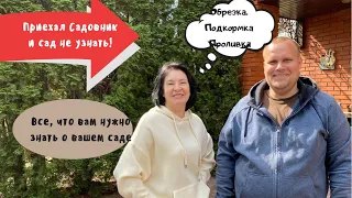 ПРИШЕЛ САДОВНИК И САД НЕ УЗНАТЬ|  ВСЕ ЧТО НУЖНО ЗНАТЬ ПРО ВАШ САД | обрезка подкормка, проливка