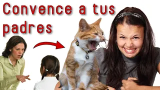 🐈 Cat Club - Cómo CONVENCER a tus padres DE TENER UN GATO 😻✔