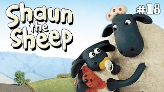 Who's the Mummy | Shaun the Sheep Season 1 | Full Episode