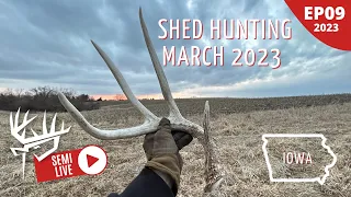 Shed Hunting March 2023