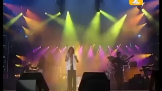 Ricky Martin, Exitos de The Beatles, Festival de Viña del Mar 1994