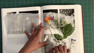 Pressed Flowers | Make Art at Home