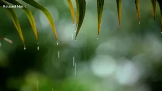 10 Hours of Relaxing Music ** Sleep Music with Rain Sound, Piano Music for Stress Relief