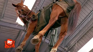 Sgt. Bilko (1996) - Hiding the Horse Scene | Movieclips