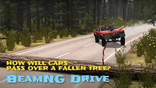 HOW WILL CARS PASS OVER A FALLEN TREE? - BeamNG.drive