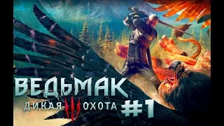 Прохождение Ведьмак 3: Дикая Охота (The Witcher 3: Wild Hunt) — Часть 1: Бестия из Белого сада