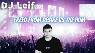 Freed from Desire vs The Hum (DJ Leif Mashup)