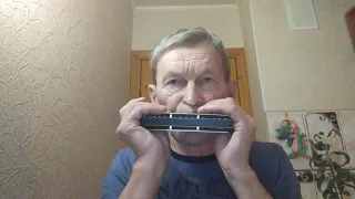 Andante  Andante - Lily James - Chromatic Harmonica By M. Hohner