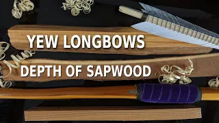 Depth of sapwood - How to make Self Yew Longbow Series