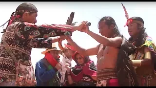 Indigeneity - Eriel Deranger
