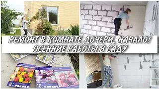 ВСЯ ЖИЗНЬ В РЕМОНТЕ! ШПАКЛЮЮ СТЕНЫ / ОСЕННИЕ РАБОТЫ В САДУ! ОБРЕЗКА КЛЕМАТИСА, ПОСАДКА ТЮЛЬПАНОВ