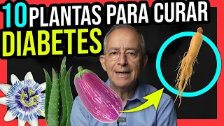 10 PLANTAS Para PREVENIR y TRATAR La DIABETES - Oswaldo Restrepo RSC