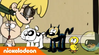 Мой шумный дом | В мире животных семьи Лаудов | Nickelodeon Россия