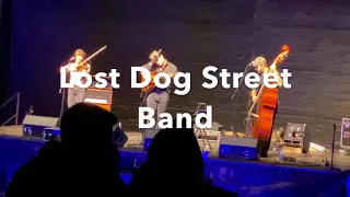 Lost Dog Street Band - Terrible and True (Live) Laurel Cove Amphitheater