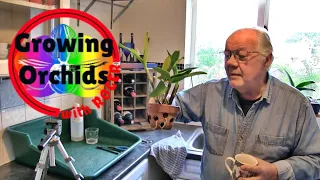 Repotting a Cattleya Type Orchid