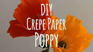 DIY Crepe Paper Poppy Tutorial