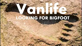 Vanlife, looking for BIGFOOT