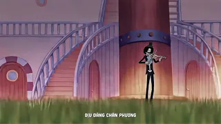 [Fan ONE  PIECE]/Tổng hợp Tik Tok One piece #24