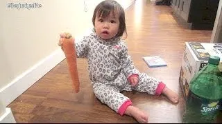 GIANT CARROT! - December 27, 2013 - itsJudysLife Vlog