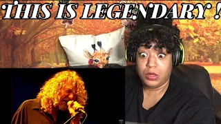 LED ZEPPELIN - KASHMIR REACTION