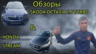 Обзор Skoda Octavia и Honda Stream