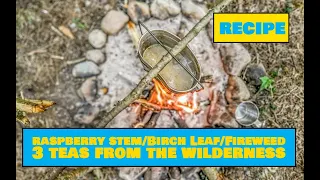 How to Make Raspberry Stem / Fireweed / Birch Leaf Tea [ 3 Teas From the Wilderness ]