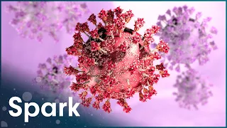 Why Are Antibiotics And Vaccines Failing Us? [4K] | The Battle Against Superbugs | Spark