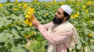 Sabzi vegetable 🥒 🍆 Vlog | Azeem Anjum Rajpoot | Vlog