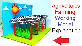 agrivoltaics farming working model explanation in english - integrated farming | howtofunda
