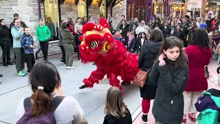 Chilliwack Chinese New Year 2024 3