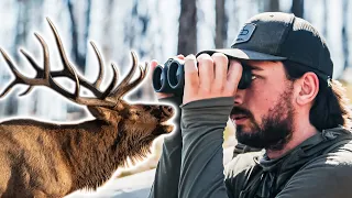 COLORADO OTC ARCHERY ELK