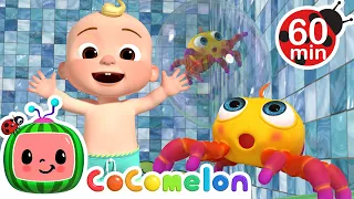 The Incredible Itsy Bitsy Spider! | CoComelon | Animals for Kids | Sing Along | Learn about Animals