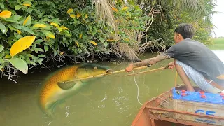 Use a jack to catch fish, all huge fish