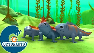 Octonauts - Les iguanes marins | Dessins animés pour enfants