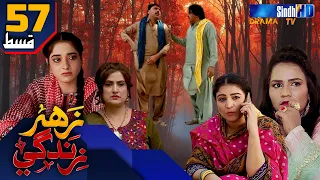 Zahar Zindagi - Ep 57 | Sindh TV Soap Serial | SindhTVHD Drama