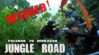 Palanan to Divilacan Jungle Road | Solo Riding Adventures