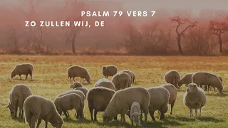 Psalm 79 vers 4, 6 en 7 - Gedenk niet meer aan 't kwaad, dat wij bedreven;