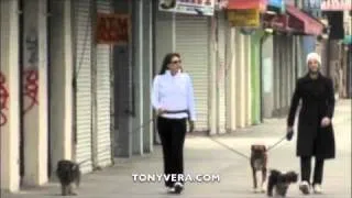 Anjelica Huston walking her Dogs and a man is yelling at cops  at Venice beach