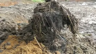 Escavadeira hidráulica CAT 312D operador GALEGO CAPIXABA quase finalizado a lagoa