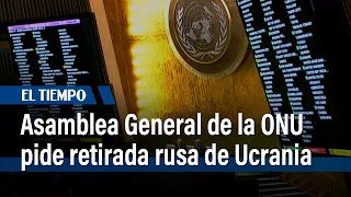 Asamblea General de la ONU pide retirada rusa de Ucrania | El Tiempo