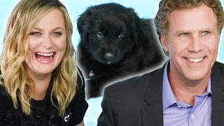 Amy Poehler & Will Ferrell Play With Puppies (While Answering Fan Questions)