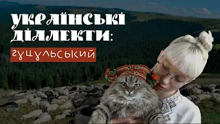 Нє — то нє, поцілюй конє | УКРАЇНСЬКІ ДІАЛЕКТИ: Гуцульський