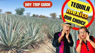 Getting DRUNK In TEQUILA  | Day Trip Guide | Tequila Tours | Jalisco | Mexico