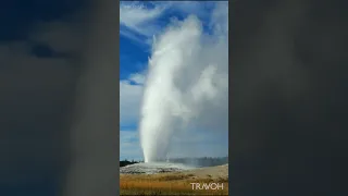 Yellowstone National Park | Wyoming, USA 🇺🇸 | Old Faithful Geyser | Earth Nature | HD Travel #shorts