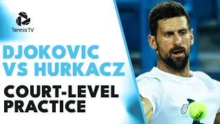 Novak Djokovic vs Hubert Hurkacz ENTERTAINING Court-Level Practice | Cincinnati 2023