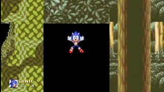 Sonic & Knuckles - bug