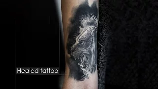 Healed a lion tattoo realistic on arm - Зажившая тату лев реализме [Алексей Михайлов] Екатеринбург