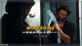 [4K] Wolverine | padvgreys