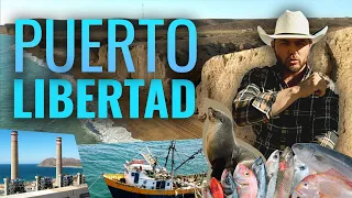 PUERTO LIBERTAD, SONORA | El mar de la RIQUEZA del municipio de Pitiquito…
