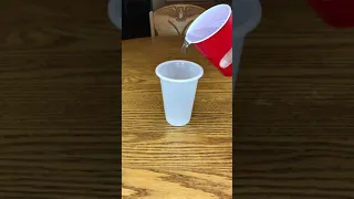 Plastic Cups Can Change Color!?